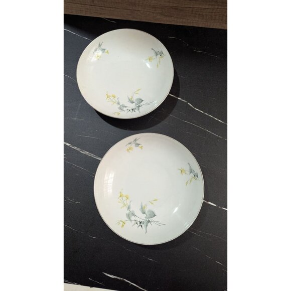 vtg Royal Tettau Spring Bouquet Soup Bowls Set Of 2 Floral Porcelain Dishware - Picture 11 of 13